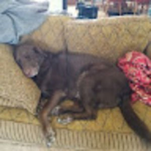 Meet your Posher, Doug